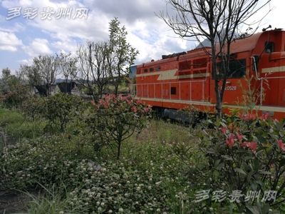 以綠為主以花為美 水鋼舊貌換新顏--六盤水市加大力度改善首鋼水鋼廠區環境打造“花園式工廠”