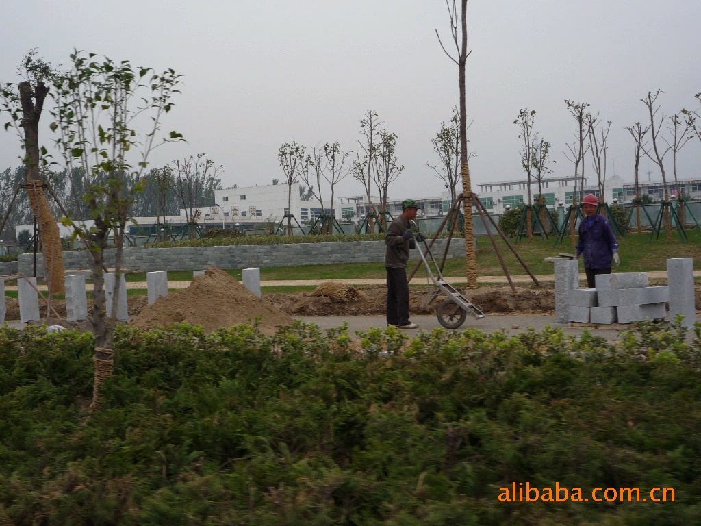 【提供園林設(shè)計(jì)、綠化工程施工、園林綠化養(yǎng)護(hù)】?jī)r(jià)格,廠家,圖片,景觀建筑,濟(jì)寧大自然園林有限公司